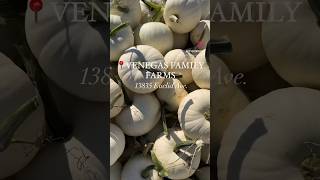 📍Venegas Family Farms (Ontario, CA)
📍Venegas Family Farms (Ontario, CA) 📍Venegas Family Farms (Ontario, CA)