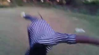 20140215_181822.mp4