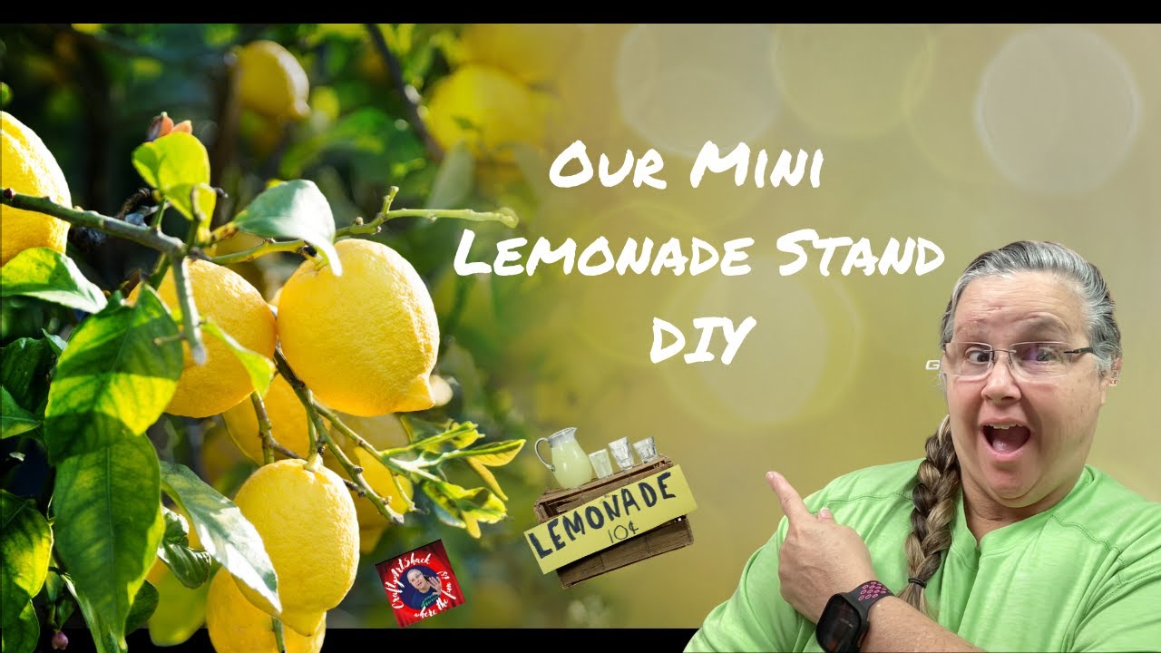 Our Mini Lemonade Stand Diy Youtube