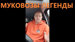 видео: КИДАЛОВО ИЛИ НОВОЯ СТАРАЯ ПРОГРАММА ЛОЯЛЬНОСТИ ЯНДЫКС ПОКУПКИ СМЕН БОЛЬШЕ НЕТ - УВЕЛИЧЕНИЕ ПРИБЫЛИ? картинка: КИДАЛОВО ИЛИ НОВОЯ СТАРАЯ ПРОГРАММА ЛОЯЛЬНОСТИ ЯНДЫКС ПОКУПКИ СМЕН БОЛЬШЕ НЕТ - УВЕЛИЧЕНИЕ ПРИБЫЛИ?
