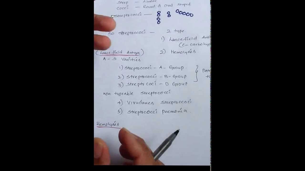 Streptococcus Classification Chart