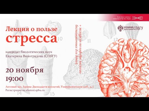 О пользе стресса. Екатерина Виноградова.