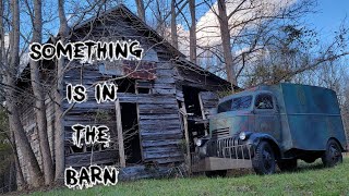 SOMETHING IS IN THE BARN