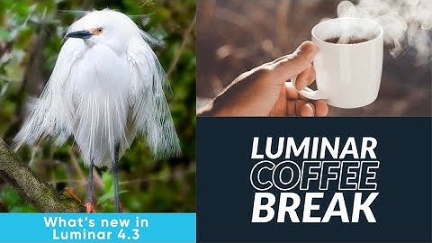 Luminar Coffee Break: Selective editing with the new masking brush workflow