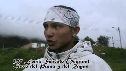 347 FENIX SENTIDO ORIGINAL - INTRO DEL PUMA Y DEL RAYAS - 2011