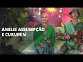 Anelis assumpo e curumin  emcasacomsesc