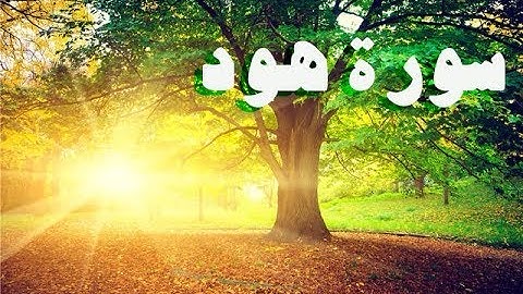 صالح الهبدان ـ سورة هود