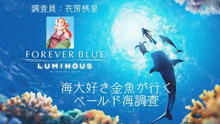 【フォーエバーブルールミナス】海大好き金魚が行く！ベールド海調査！#2