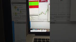 Metatrader 4 ga real hisobni ulash va bonus haqida!