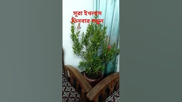 সূরা ইখলাস তিনবার পড়ুন #سورة_الإخلاص #viral #ikhlas #egzonibrahimi #motivationalquotes