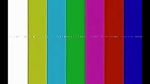 your generic daily vhs tape. (this was a preset i made on ntsc-rs)