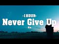 Sia  never give up lyrics 1hour