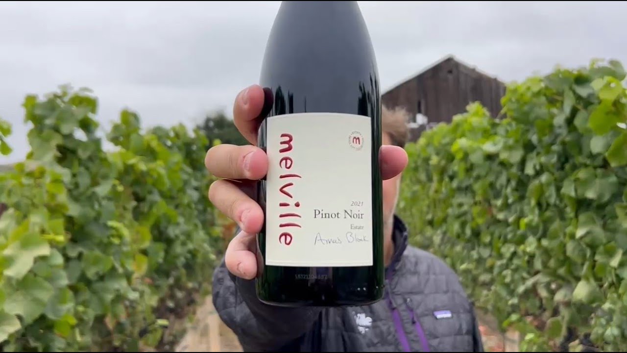 Explore  Anna’s Block Pinot Noir with Chad and learn about the 2021 vintage.