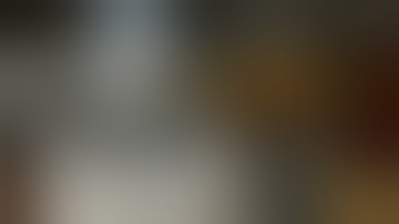 Fallout New Modded (Storywealth collection steam 1)