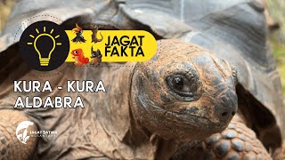 #JagatFakta : Kura - kura Aldabra - Museum Komodo Jagat Satwa Nusantara