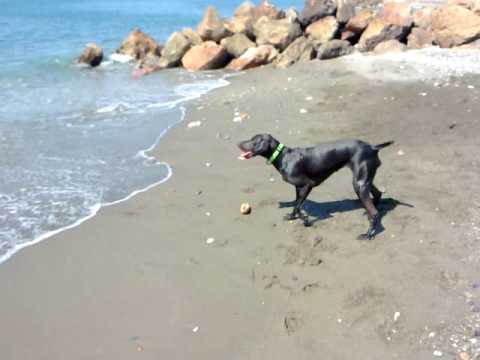 Dana en la playa.mp4