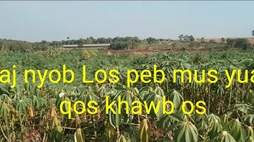 Mus saib kwv txos nkawv qhov teb qos xav yuav khawb