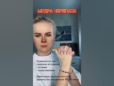 МУДРА ЧЕРЕПАХА - YouTube