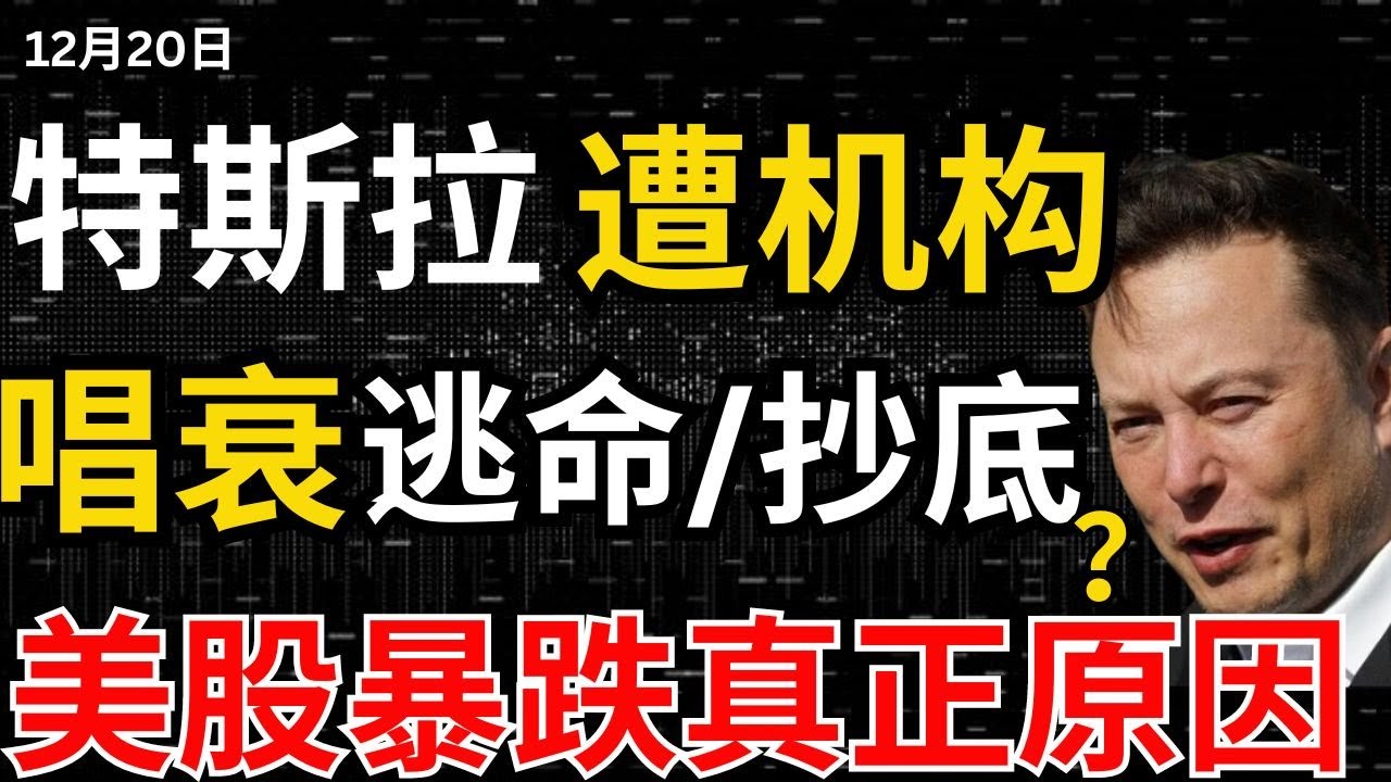 【特斯拉充电重大利好】股价大跌是抄底机会还是逃命机会？英伟达为什么又又又跌了？没有利空美股却暴跌的真相#特斯拉#特斯拉股票 #美股 #股哥说美股  #tesla #马斯克 #美股复盘