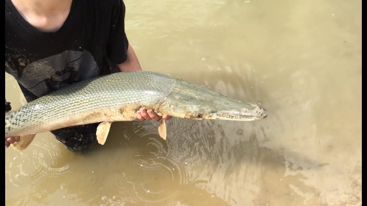 Catching Dinosaurs While Fishing In Houston Texas YouTube