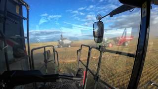 Harvesting More Wet Oats