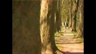 Dino Merlin - Jel' Sarajevo gdje je nekad bilo [HQ]