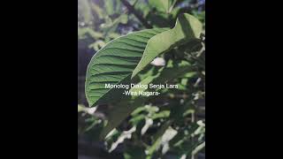Monolog Dialog Senja Ft Wira Nagara  Dendam