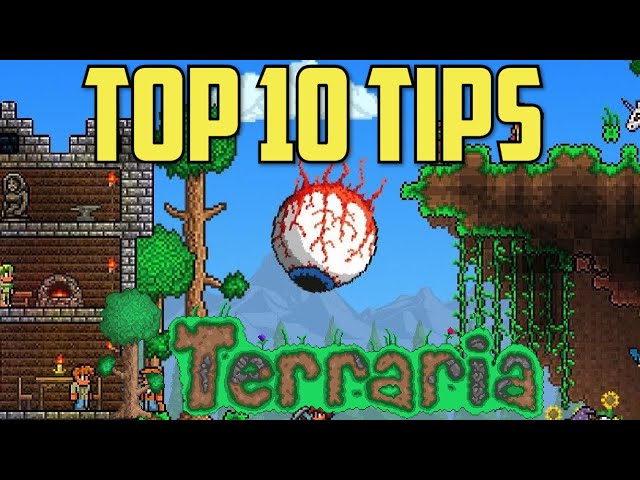 Things To Do Immediately When Starting Terraria