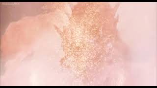 Godzilla Vs Biollante 1314