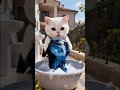 The ai cat bad behavior for the baby cat 🥺🥺🥺#viralvideo #viralclipe