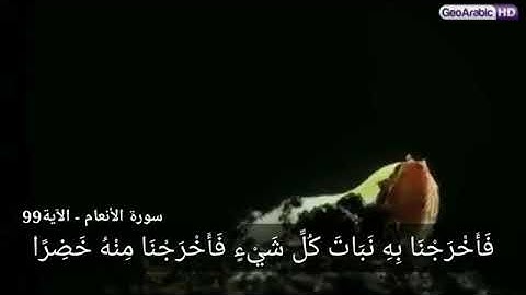 سورة الأنعام -- الاية 99