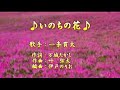 【新曲】いのちの花/一条貫太/歌の無い歌謡曲/2020年11月4日発売