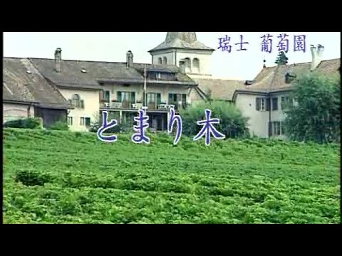 清溪之星 - 日本懷念昭和老歌 28 とまり木(棲木)