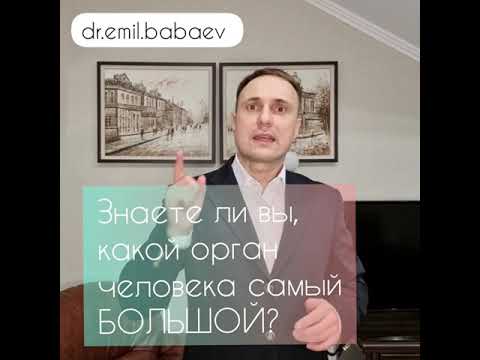 Какой ОРГАН человека