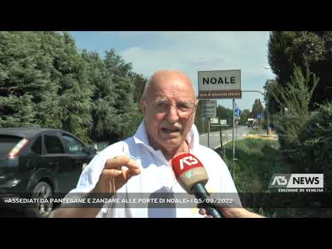 «ASSEDIATI DA PANTEGANE E ZANZARE ALLE PORTE DI NOALE» | 05/09/2022