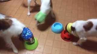 trim 0D332002 D297 4251 86C6 1143F50015BC