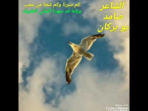 الشاعر صامد ابو بركان كم صبرنا وكم شفنا من عجب 