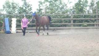 13th June, bareback hack.