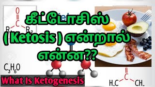 What Is Ketosis Ketosis Tamil |Ketogenesis Tamil | What Happen when We Reach Ketosis |Keto diet