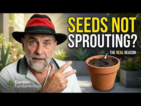 The REAL Reason your Seeds are NOT Sprouting.