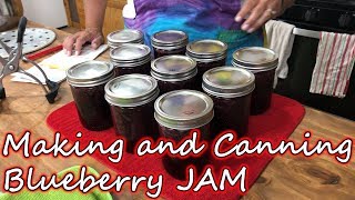 How to Make Easy Blackberry Jam Recipe (with Jackson)