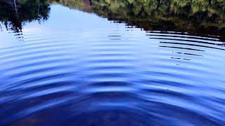 Fun With Constructive and Destructive Wave Interference Patterns on the Surface of a Calm Lake