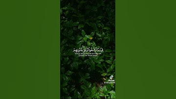 سورة آل عمران سعد الغامدي