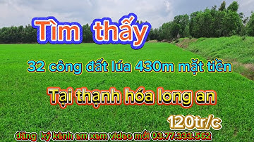 Chú  5 bán  32 công đất lúa  tại thạnh hóa long an 430 m mặt tiền
