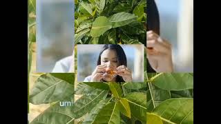 Benipisyo Ng Lagnob Gamot Sa Binat