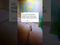 library🏫📚#study #life #sad #song #viral #reels #video #motivation #india #indian