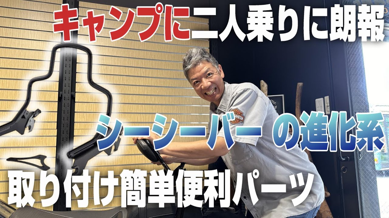 ハーレー】取り外し簡単！キャンプに二人乗りに最適！！純正