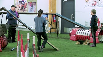 International Agility Training Week - Tunnel-contact -discrimination - preview