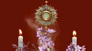 CINCO MINUTOS CON JESÚS SACRAMENTADO  Miércoles 9 de Septiembre de 2026