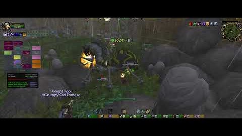 Zul Gurub 14/09 Bosses #1